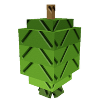Feijoa